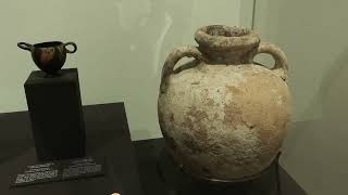 Museo Arqueológico Nacional inaugura muestra ‘Entre Caos y Cosmos Naturaleza en la Antigua Grecia’ [upl. by Waddle]