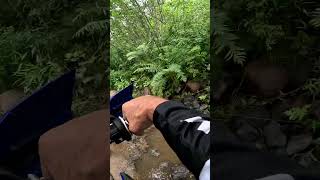 🔵🔥A ROCKY STREAM sherco enduro dirtbike shorts [upl. by Eynenihc]