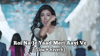 Roi Na Je Yaad Meri Aayi Ve  Sad song  Hindi  Slow Reverb  Vishnu Maind [upl. by Waugh]