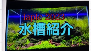 世界水草レイアウトコンテストって知ってる？超楽しい誰でも参加できるお祭りだよ！ [upl. by Nell]