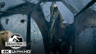 The Pteranodon Aviary Attack in 4K HDR  Jurassic Park III [upl. by Ruffi49]