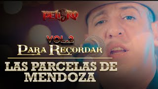 Peligro Norteño  Las Parcelas De Mendoza  Video Oficial [upl. by Alvinia]