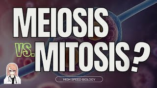 Understanding the Difference Between Mitosis and Meiosis【USMLE Biology】 [upl. by Gee]