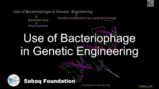 Genetic engineering  Genetics  Biology  FuseSchool [upl. by Balsam]