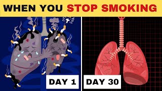 What Happens When You Stop Smoking [upl. by Connelley996]