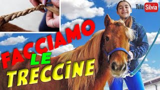 COME FARE LE TRECCINE AI PONY E CAVALLI [upl. by Allerie]