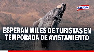 🔴🔵Esperan recibir 25 mil turistas en temporada de avistamiento de ballenas en Canoas de Punta Sal [upl. by Addam240]