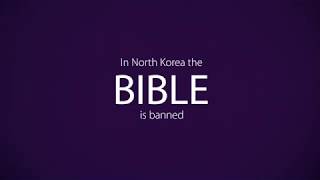 The buried Bibles of North Korea [upl. by Lehcim]