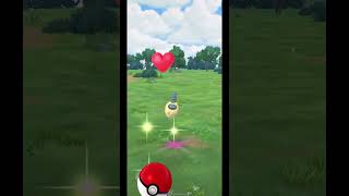 Catching Shiny Pokemon  Burmy  Pokemon GO PokemonGO ForYou Burmy [upl. by Megen961]