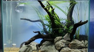 Nano Iwagumi Aquascape quotBluesky and Redsandquot ADA Mini M  Step by Step [upl. by Fariss790]