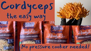 The EASIEST Way to Grow Cordyceps Mushrooms  Uncle Ben’s Tek [upl. by Rita]