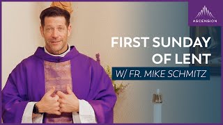 First Sunday of Lent  Mass with Fr Mike Schmitz [upl. by Adle845]