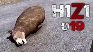 H1Z1 Gameplay German 19  Helllooooo HD60  Lets Play H1Z1 [upl. by Nyleahs]