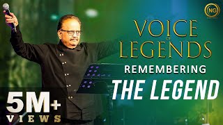 Remembering the Legend  SP Balasubrahmanyam  Voice of Legends  Noise and Grains [upl. by Wordoow]