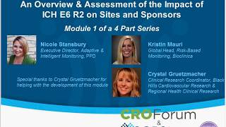 RBM Webinar 1  An Overview and Assessment of the Impact of ICH E6 R2 on Sites and Sponsors [upl. by Chura156]