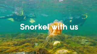 Snorkel with us in Ketchikan Alaska [upl. by Seka952]