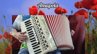 AMAPOLA Bolero música de acordeón 🎶🎵🪗 accordion cover version [upl. by Hepsibah]