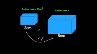 Similar Shapes Explained  Maths GCSE [upl. by Brink]