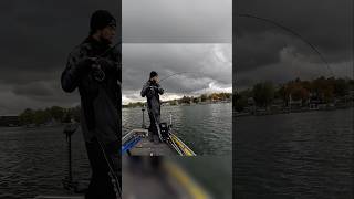 CAST to CATCH Walleye livescope walleye shorts [upl. by Leatrice]