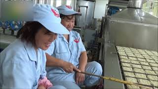 Fried Instant Noodles Manufacturing PlantInstant Noodles Production Line [upl. by Venita]