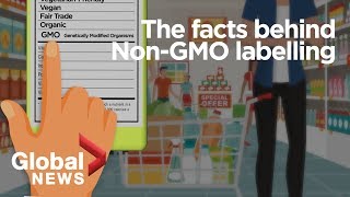 GMO foods Why its meaningless to label geneticallymodified organisms [upl. by Carol]