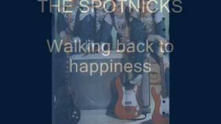 The Spotnicks Walking back to happiness [upl. by Ainat566]