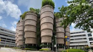 Nanyang Technological University Campus Tour [upl. by Henryson]