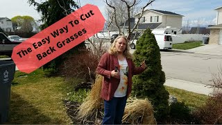 How to Cut Back Grasses and Prune Ninebark [upl. by Florance827]