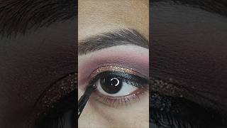 Party glitter eyeshadow video makeupartistqueen youtubeshorts shorts youtube viralvideo eyes [upl. by Dimmick]