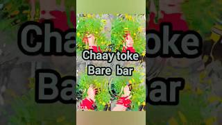 tor mon paray❤️songsshortslyrics videobengali song [upl. by Aldarcie246]