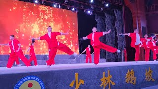 Shaolin Kungfu Performance from EPo Wushu School in Dengfeng Henan 少林功夫表演 鹅坡武术学校 河南登封 [upl. by Mariya]