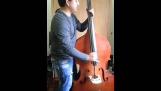 Stray Cats  Rock This Town Upright Bass Cover [upl. by Nonna450]