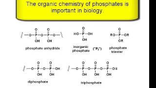 Chemistry Vignettes Phosphate functional groups [upl. by Bibah]