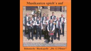 Die 12 Pilsner  Österreicherin Polka Solo für Flügelhorn und Tenorhorn [upl. by Gala334]