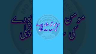 Momin Ki Misal Ek Paudhe Ki Tarah Hai hadees hadeesinurdu hadis urdu hadeesnabviinurdu hadith [upl. by Glennie316]