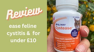 Ease Feline Cystitis Pain and Stop Cystitis for Under £10 UPDATED IN THE DESCRIPTION BOX 200423 [upl. by Klarika]