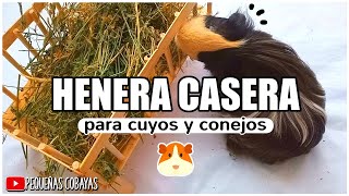 HENERA para CUYOS Y CONEJOS 🐰 CASERA  DIY [upl. by Sirtaeb]