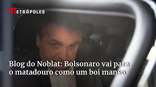 Blog do Noblat Bolsonaro vai para o matadouro como um boi manso [upl. by Inanaup]