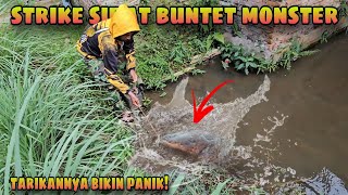 Mancing Sidat Buntet Penghuni Kolam Pinggir Rumah Warga Sidat Monster Eel Fishing [upl. by Cherry830]