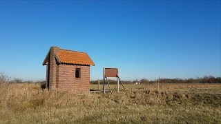 Rieselfelder Münster Germany 2017 im Winter [upl. by Farrison]