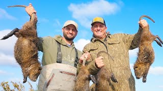 Hunting Massive Marsh Rats from a boat Catch Clean Cook Cajun Rat Rolls [upl. by Ennaeirb]