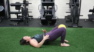 Adductor Squeeze with Glute Bridge [upl. by Siocnarf]