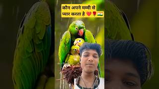 फोन अपने मम्मी से प्यार करता है ❤️🌹🇮🇳shorts funny viralvideo reaction mum green love green 84 [upl. by Weld65]