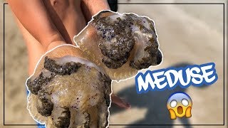 2 MEDUSE GIGANTI IN MANO 😱VLOG AL MARE [upl. by Madelene]