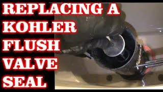 Replacing A Kohler Toilet Flush Valve Seal [upl. by Ardnal117]