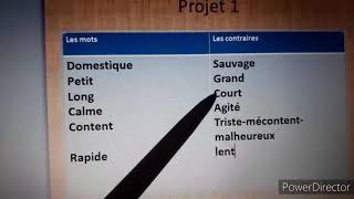 Les synonymes et les antonymes المرادفات والاضداد projet 1 2 et 3 [upl. by Atimed33]