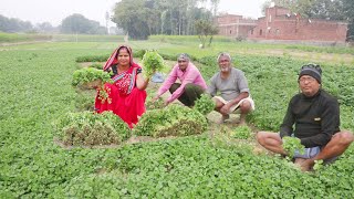 धनिया आलू की सुखी सब्जी के साथ चावल मिल जाए तो पेट भर के खाए। Dhaniya ki sukhi sabji [upl. by Eelek]