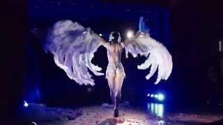 Toronto Burlesque Festival 2015  Opening Bash  Vicky Butterfly [upl. by Atteinotna]