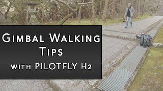 Gimbal Walking Tips  Pilotfly H2 [upl. by Glanville]