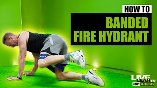 How To Do The BANDED FIRE HYDRANT EXERCISE  Exercise Demonstration Video and Guide [upl. by Alexio243]